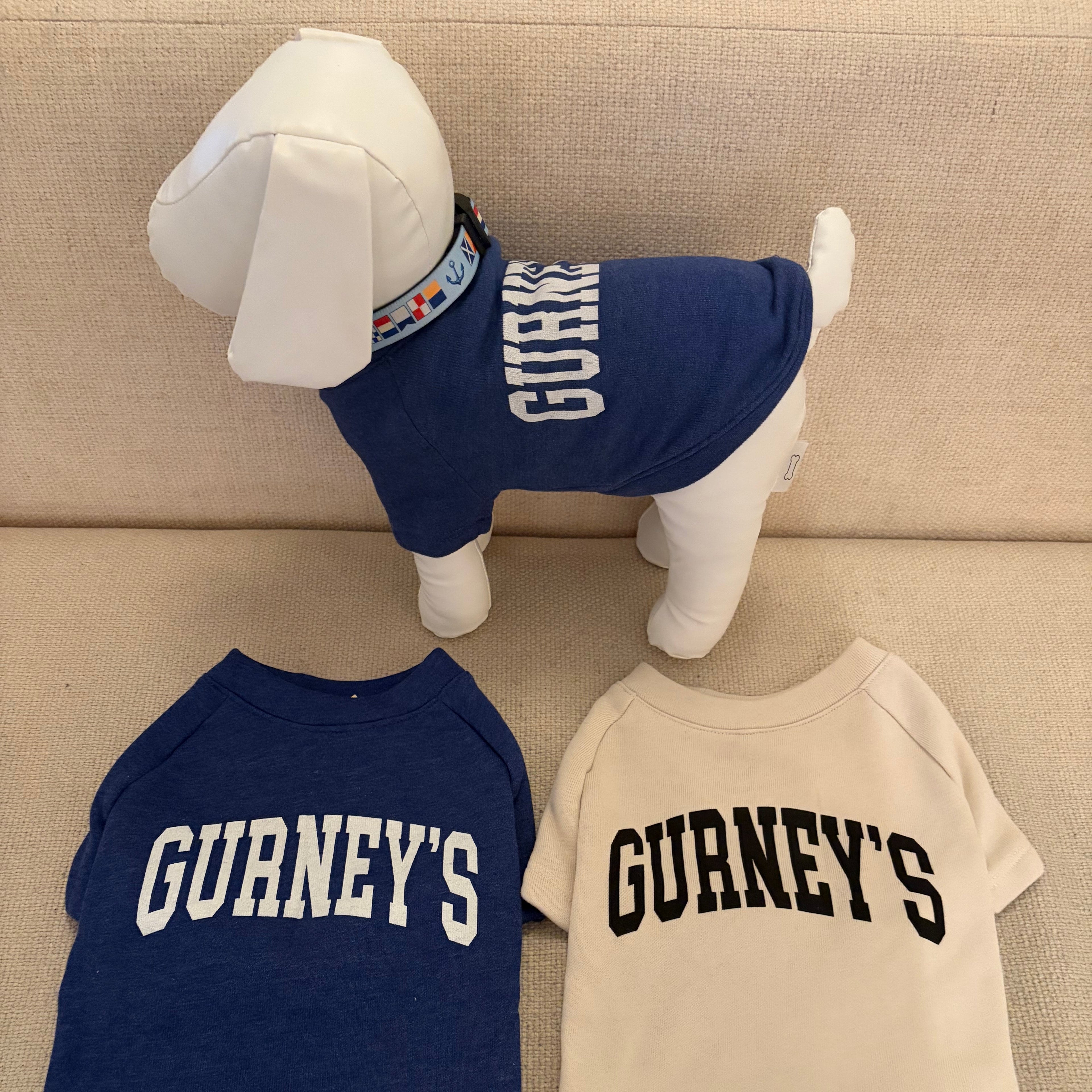 Dog Sweatshirt Gurneys